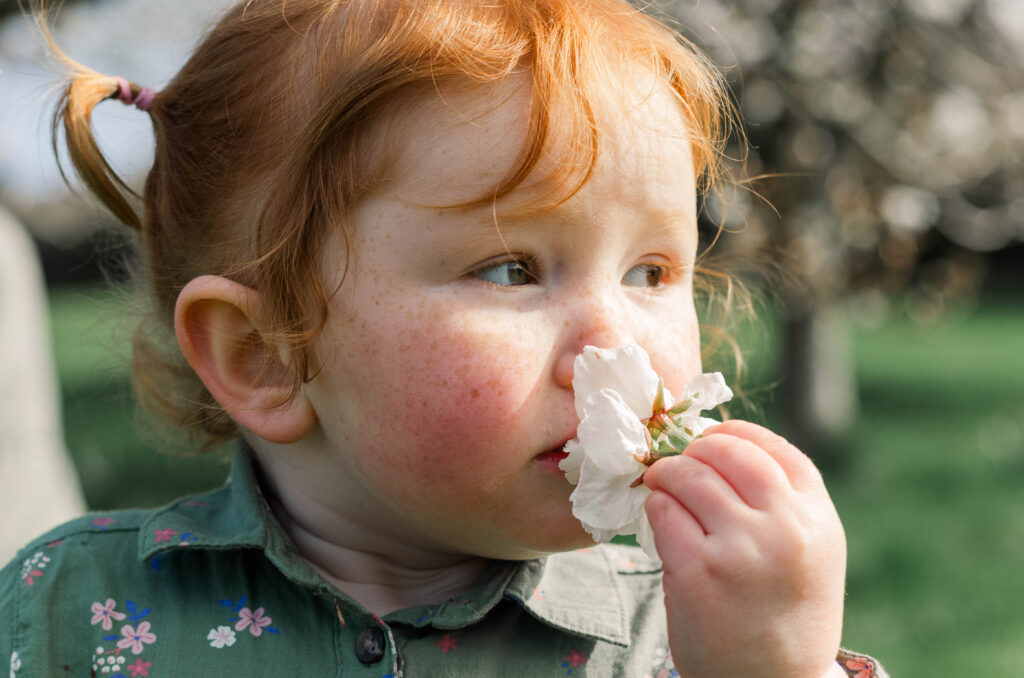 Young girl sniffs a white flower looking off into the distance